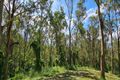 Property photo of 30 Whyte Road Neurum QLD 4514
