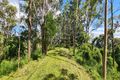 Property photo of 30 Whyte Road Neurum QLD 4514