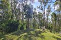 Property photo of 30 Whyte Road Neurum QLD 4514
