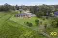 Property photo of 75 Bridgman Road Singleton Heights NSW 2330