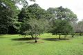 Property photo of 125 Hogan Road Tarzali QLD 4885
