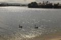 Property photo of 1/29 Duet Drive Mermaid Waters QLD 4218