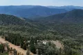 Property photo of 404 Mountain Creek Road Mole River NSW 2372