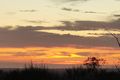 Property photo of 210 Reides Road North Dandalup WA 6207