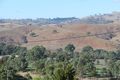 Property photo of 43 Punch Street Gundagai NSW 2722