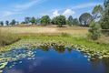 Property photo of 33 Kress Road Tuchekoi QLD 4570