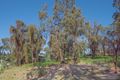 Property photo of 19 Narani Way Fairhaven VIC 3231