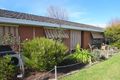 Property photo of 551 Kalimna Crescent Lavington NSW 2641
