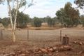 Property photo of 9 George Cook Drive South Daisy Hill VIC 3465