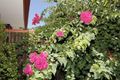 Property photo of 180 Warwick Road Duncraig WA 6023
