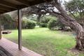 Property photo of 24 Sunshine Rise Sandy Point VIC 3959