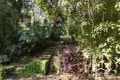 Property photo of 7 Chappell Close North Johnstone QLD 4885