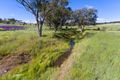 Property photo of 921 Peabody Road Molong NSW 2866