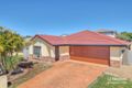 Property photo of 22 Lillydale Place Calamvale QLD 4116