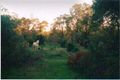 Property photo of 46 Hillside Place Bullsbrook WA 6084