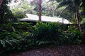 Property photo of 6 Charlekata Close Freshwater QLD 4870