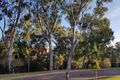 Property photo of 1 The Grove Churchlands WA 6018