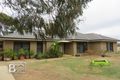 Property photo of 4924 Stawell-Avoca Road Frenchmans VIC 3384