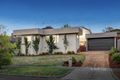 Property photo of 49 Bimbadeen Crescent Yallambie VIC 3085