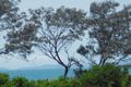 Property photo of LOT 3/85 Todd Avenue Yeppoon QLD 4703