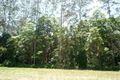 Property photo of 199 Hidden Valley Road North Arm QLD 4561