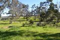 Property photo of 2975 Sturt Highway Nuriootpa SA 5355