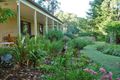 Property photo of 11189 Princes Highway Benandarah NSW 2536