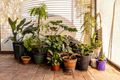 Property photo of 50 Lincoln Highway Cowell SA 5602