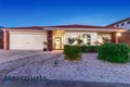 Property photo of 77 Gurnung Drive Cairnlea VIC 3023