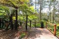 Property photo of 13 St James Avenue Kallista VIC 3791