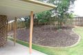 Property photo of 3 Pecan Drive Upper Coomera QLD 4209