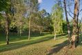 Property photo of 25 McCaskill Road Pullenvale QLD 4069