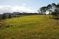 Property photo of 25 Ironbark Close Gloucester NSW 2422