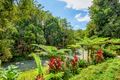 Property photo of 808 Currumbin Creek Road Currumbin Valley QLD 4223