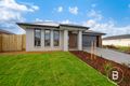 Property photo of 20 Yolanda Street Bonshaw VIC 3352