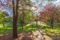 Property photo of 6 Grigson Place Macgregor ACT 2615