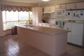 Property photo of 137 Lancaster Avenue Punchbowl NSW 2196