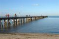 Property photo of 67C Grieve Parade Altona VIC 3018