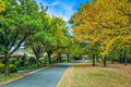 Property photo of 17 Black Street Yarralumla ACT 2600