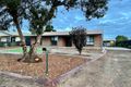 Property photo of 88 Alma Avenue Murray Bridge SA 5253