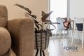 Property photo of 208/39 Racecourse Road North Melbourne VIC 3051