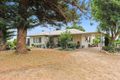 Property photo of 181 Edmondson Road Loxton SA 5333