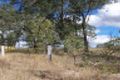 Property photo of 39 Sandpiper Drive Regency Downs QLD 4341