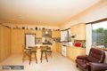 Property photo of 108 Northcote Street Earlwood NSW 2206