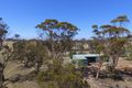 Property photo of 158 Hood Road Badgebup WA 6317