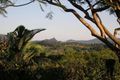 Property photo of 37 Azalea Street Mullumbimby NSW 2482