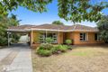 Property photo of 11 Jacob Street Marion SA 5043