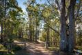Property photo of 864 Warrigal Range Road Brogo NSW 2550