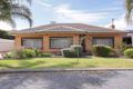 Property photo of 3 New Cut Street Hectorville SA 5073