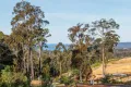 Property photo of 156 Silver Top Crescent Nullica NSW 2551